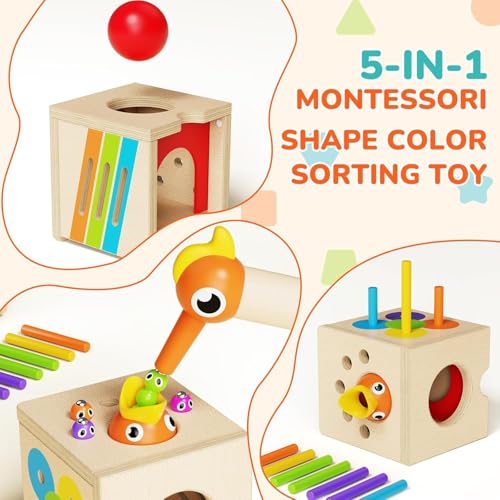 5-in-1 Wooden Activity Cube, Magnetic Bird Feeding Toy | Fine Motor Skills, Hand-Eye Coordination & Early Learning