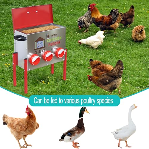 XINYI 9.3 Gallon Automatic Chicken Feeder, 6 Ports Gallon Chick Feeder No Waste with Adjustable Legs, Rodent Proof & Weatherproof Metal Raised Poultry Feeder - size: 6 ports with legs