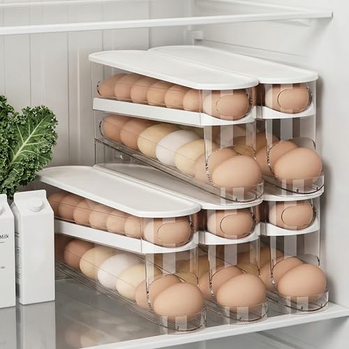 Auto-Rolling Egg Dispenser with Lid, Transparent, 1 Pack | Fridge Egg Organizer, Side-Door Slide Design, Stackable & Space-Saving, Easy Access, Holds 14–16 vs. Standard 12