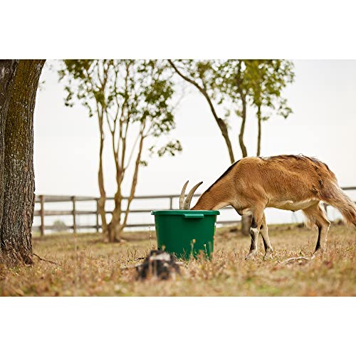 Farm Innovators Heated Water Bucket, 200W Heating Power - 16 Gallon Plastic Bucket with Replaceable Heating Element for Livestock Watering & Feeding | Thermostatically controlled to operate only when necessary, large 16-gallon capacity, anti-chew cord - c