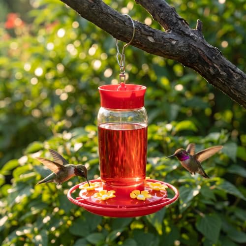 Plastic Hummingbird Feeders 2 Pack 20oz, Wide Mouth, Easy Clean | 6 Feeding Ports, Easy Fill, Ant Moat, Bee Proof and Leak-Proof, Clear Bottle, Weatherproof Hook, For Yard Deck Patio
