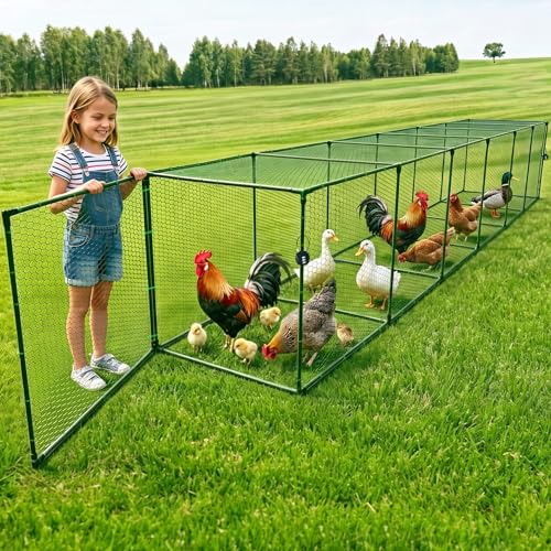 Heavy Duty Chicken Tunnel - 6-Section Portable Chicken Run with PVC Coated Wire Mesh & Steel Frame, Outdoor DIY Chicken Tunnel for Yard, Predator-Proof (1, 141 * 24 * 24 inches) - size: 146*24*24 inches
