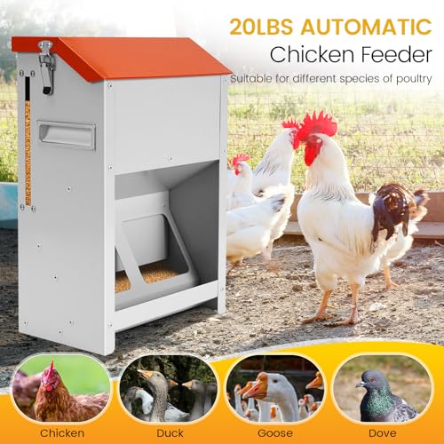 Automatic Chicken Feeder Large 20Lbs No Waste Poultry Feeder Trough | Metal Hanging Chicken Feeder Trough Dispenser Outdoors with Lid and Visual Window for Chicken Poultry Turkey Duck