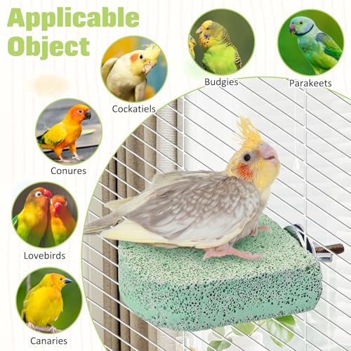 BNOSDM 4 Pcs Green Bird Beak Grinding Stone Calcium Parrot Perch 3.1*2.6in - color: 4 Pcs- Green (M+)