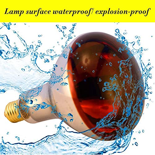 Heat Lamp Bulb R115 125 Watt 2 Pack Infrared Glass Lamp Bulb for Food Service, Brooder Bulb, Chicks, Pet, Bathroom, Light Therapy, Reptiles and Amphibian Use E26 Base - style: R115/125W