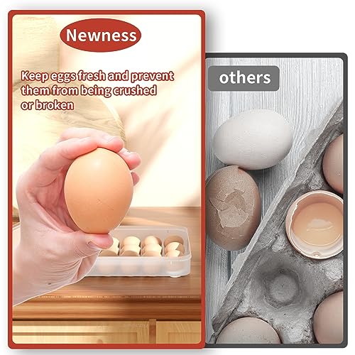 Newness Deviled Egg Containers with Lid, (Set of 2), Plastic Egg Platter for 48 Devil Eggs, Clear Storage Deviled Egg Carrier, Fridge Stackable Countertop Portable Egg Tray