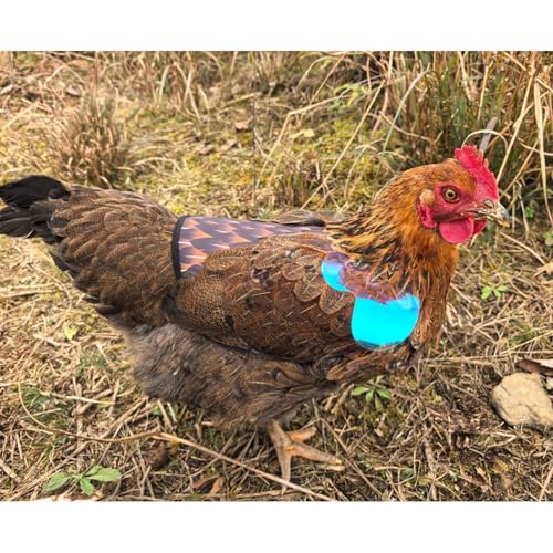Chicken Saddles for Hens with Detachable Wings, Adjustable Hen Apron Back Protector for Feather Recovery, Double-Layer Breathable Poultry Saver for Standard Breeds (Black，White) | Double-Layered Breathable Poultry Back Protector For Hens During Mating And