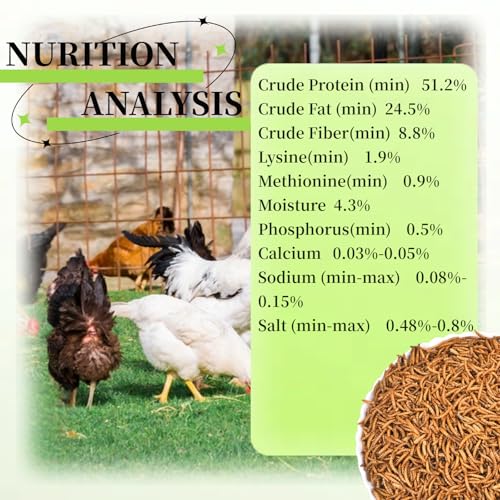 SANSECT 10LB Dried Mealworms for Chickens, Ducks, Wild Birds, Reptile Food | High Protein Treats, 100% Natural, Non-GMO Mealworms for Chickens, Ducks, Turtles and Reptiles and Laying Hens - size: 10 Pound (Pack of 1)