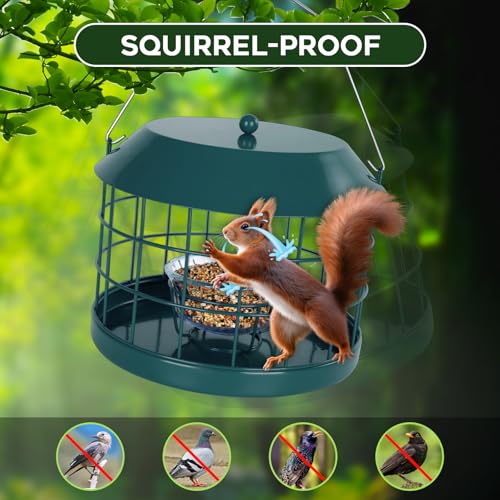 Gbekery Caged Bluebird Feeder for Mealworms with Glass Bowl, Squirrel Proof Bird Feeder for Small Birds Only, Detachable Hook, Large Space, Outdoors Weatherproof, Metal, Green - style: Green Glass Bowl