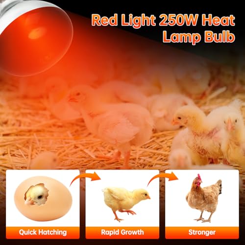 LUCKY HERP Heat Lamp for Chickens, 250 Watt Red Heat Lamp Bulbs, Infrared Heat Lamp for Chickens, Chicks, Reptile, Pets, Brooder Coop, Poultry (2 Pack) - size: 250*2