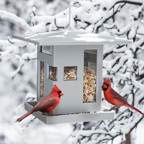 Umbra Bird Cafe Bird Feeder, Outdoor Hanging Seed Dispenser, Grey | Wrap-around tray, steel cable, easy refill, weather resistant, plastic