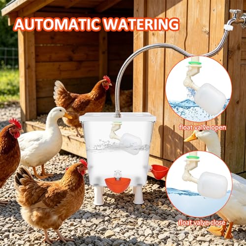 Automatic Chicken Waterer with Float Valve - 3 Gallon Poultry Water Dispenser for Chicken Coop, Self-Fill Watering Feeder for Hens, Ducks, Quails