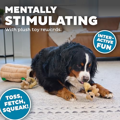 Outward Hound Hide-A-Squirrel Plush Squeaky Dog Toy, XL, 7" x 11.8" | Hide-n-Seek Puzzle, 6 Removable Squirrels, Fetch Play, Interactive Enrichment, Boredom Buster, Light Chewers, Dogs & Puppies - color: Squirrel Xlarge, size: X Large (Pack of 1)