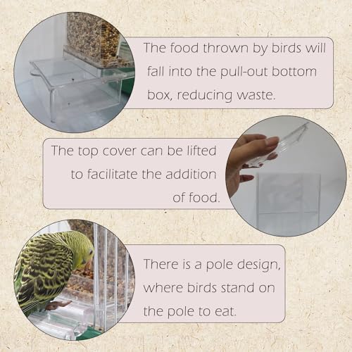 IBWell No Mess Automatic Bird Feeder for Cage - Parrot Feeder Inside Cage With Clear Perch and Acrylic Seed Food Container
