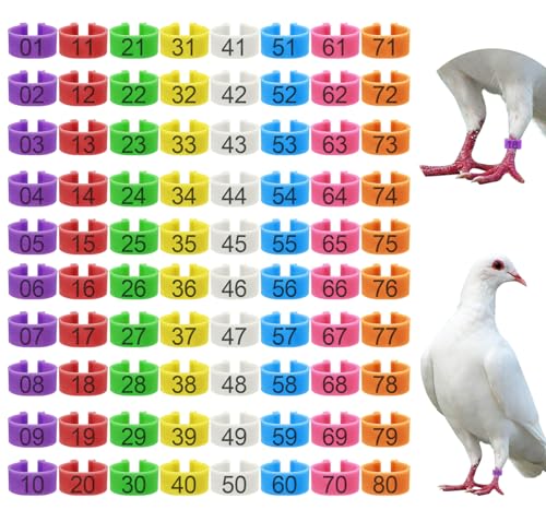 80 Pcs 8mm Pigeon Leg Bands with 8 Colors Numbered Quail Bird Identification Leg Bands Clip on Baby Poultry Foot Rings for Bantam Finch Dove Lovebird Coturnix Quail Small Birds - size: 8mm - 8 Colors