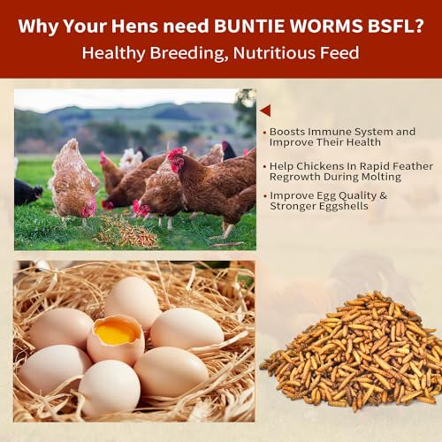 BUNTIE WORMS 5LB Dried Black Soldier Fly Larvae for Chickens Food | More Calcium Than Mealworms, High Protein Chicken Treats, 100% Natural Non-GMO Chicken Feed for Wild Birds, Ducks, Reptiles - size: 5 Pound (Pack of 1)