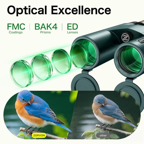 10x42 HD Binoculars for Adults, High Powered Binoculars with BAK4 Prism, Low Light Vision, Easy Focus, Waterproof Binoculars with Large Eyepiece for Bird Watching, Alaska Cruise, Hiking, Hunting - color: Green
