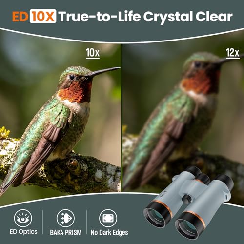 10X42 Binoculars for Adults with ED Glass, BAK4 Prism, Waterproof, Fogproof, Low Light Vision & Phone Adapter for Hunting, Bird Watching, Travel, Hiking