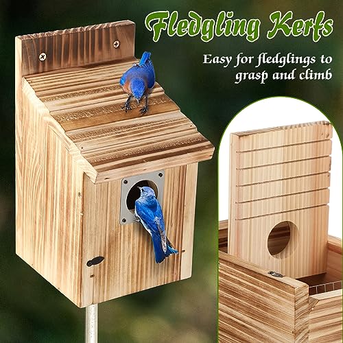 Dreyoo Bluebird Houses for Outside, 1-1/2” Entrance Hole Wooden Bird Houses for Outdoor with Metal Predator Guard, Secure Latch, Fledgling Grooves, Air Vents(Dark Wood) - color: Dark Wood