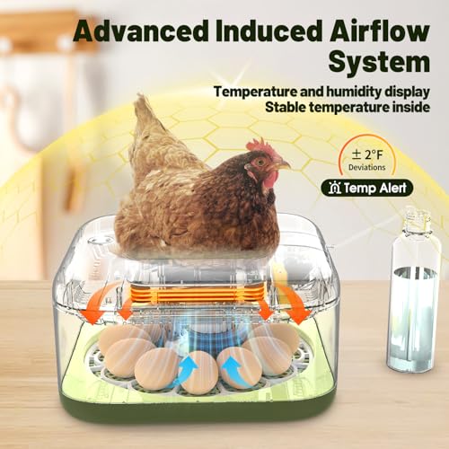 12 Egg Incubator with Automatic Egg Turning and Humidity Control, LED Egg Candling Light, Customized Incubation Days, Incubators for Hatching Eggs, Chicken Quail Parrot Pigeon Birds, Green - size: 12 eggs