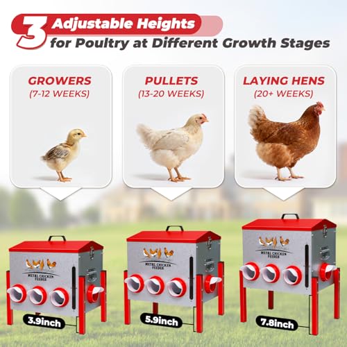 Automatic Chicken Feeder 50LBS Large Capacity, 8 Anti-Waste Ports Metal Poultry Feeder with Height Adjustable Stand, Waterproof Rodent Proof Feed Box with Lid Viewing Window for Hens Ducks Geese - size: 50LBS