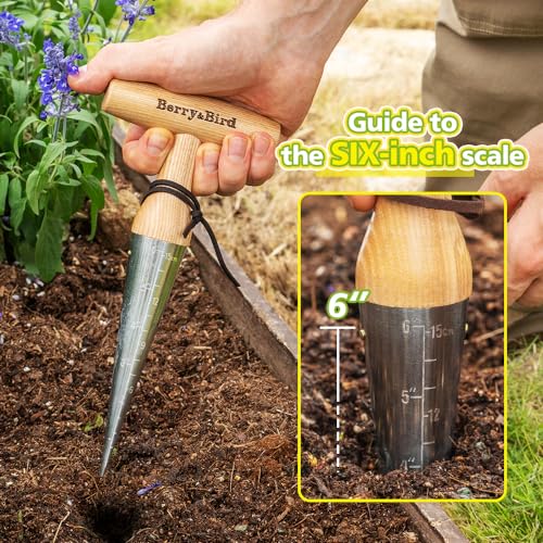 Berry&Bird Hand Dibber – Precision Wood Handle Seed Dibber Garden Tool | Seed Planting Tool for Planting Seeds & Bulbs with 6'' Measuring Scale, Hole Punch Dibbler Tool Bulb Planter for Planting - size: 6''