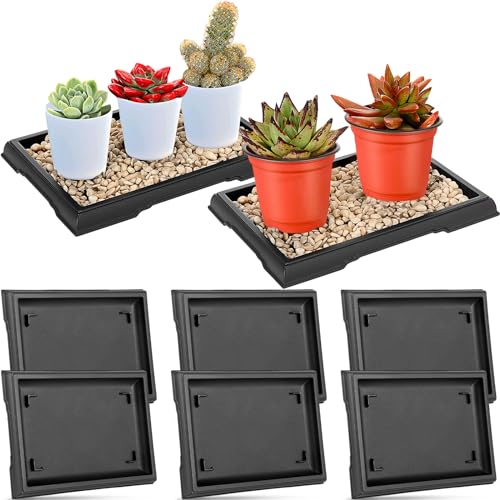 Pinkunn 6 Pcs Bonsai Humidity Tray for Indoors and Outdoor Rectangular Drip | 7.8 x 5.5 Inch,bonsai tray,bonsai pots for Bonsai Succulents Cactus, Plastic material, Catches Water, Stone Not Included - size: 7.8 x 5.5 Inch