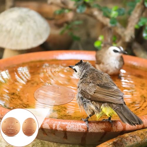 8 Pcs 4'' Copper Disc for Bird Bath,0.6mm | 0.8mm Thick, 99.99% Pure Metal for Birdbaths Purification, 4 Point Support Outdoor Bowls, Prevents Algae Buildup - style: Bird Pattern