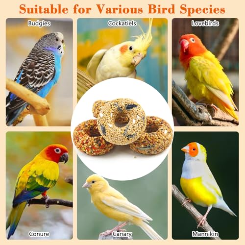 Fhiny 8 PCS Parakeet Treats, Donut Shaped Natural Grain Cockatiel Food with Fruits Vegetables Flowers and Herbs Bird Chew Toys for Parrot Conure Lovebird Training Rewards and Beak Grinding