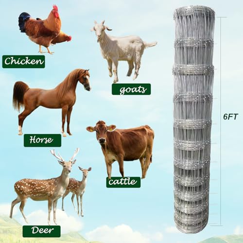 Farm Fence 6ft x 100ft Heavy Zinc Coating Field Wire Fencing, Galvanized Livestock Deer,Goat Fence,Hog Wire Fencing Used to Yard and Garden - size: 72inX100ft