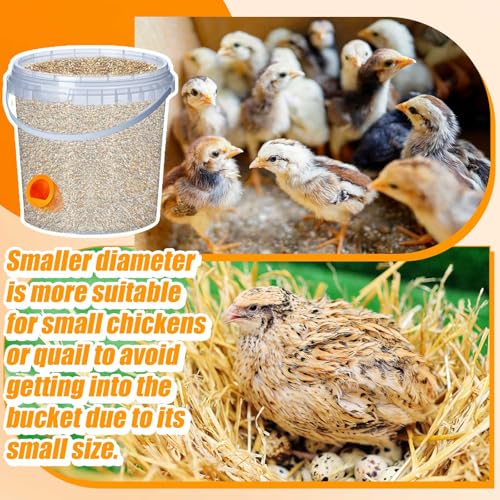 Teenyyou 20 Pack Quail Feeders No Waste Chicken Feeder Port DIY Chick Feed Saver Quail Supplies for Coturnix Small Poultry Farm Bucket Bin Container (1.5 Inch,Orange) - color: Orange, size: 1.5 Inch