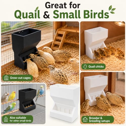 Wall Mount Automatic Quail Feeder, Anti Spill Feed Dispenser (Black) | Large Capacity Hanging Trough for Quail Chicks Small Birds, Easy Refill Clean Cage Feeder for Brooder Breeding Grow Out Cages - color: Black