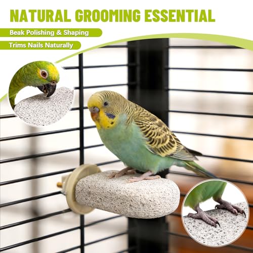 4 Pcs Lava Ledge Bird Perch Platform Set for Cages | Fits Small/Medium Parrots (Budgies, Conures) | Volcanic Calcium Stone for Beak Grinding & Claw Trimming | Tool-Free Mount