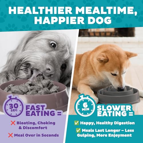 Outward Hound Fun Feeder Slo Bowl – Medium 2‑Cup Capacity,Slow Feeding,Small to Medium Dogs & Cats,Non-Slip,Gray,Drop Pattern,(Pack of 12) - color: Gray, size: Medium (Pack of 12)