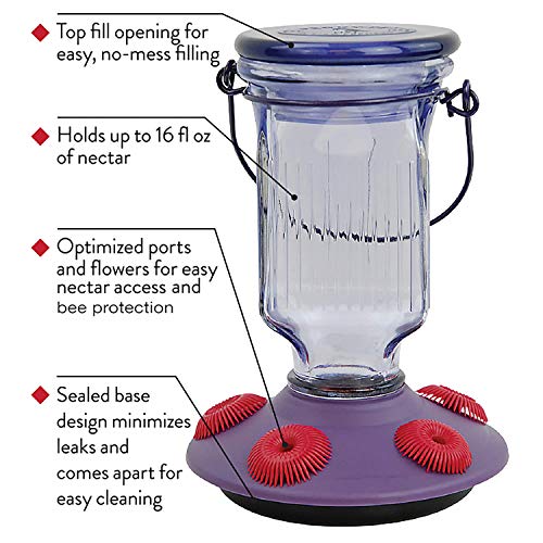 Perky-Pet 9101-2 Lavender Field Top-Fill Glass Hummingbird Feeder Purple 16 oz Capacity - color: Purple