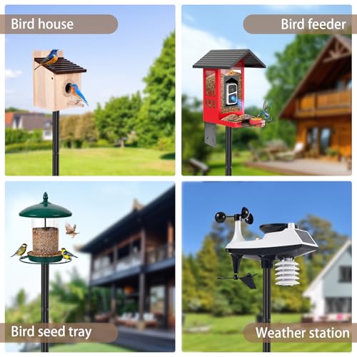 77" Heavy Duty Bird Feeder Pole, Metal Bird House Pole Mount Kit | 5-Prong base for outdoor ground stability, 2 mounting plates for smart bird feeder, rustproof metal post for garden yard - size: 77 Inch-No Baffle