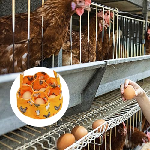 Egg Collecting Basket Canvas Egg Holder 7 Pouches Carrier | Egg collecting basket with 7 separate pouches for chicken duck and goose eggs during daily coop gathering trips
