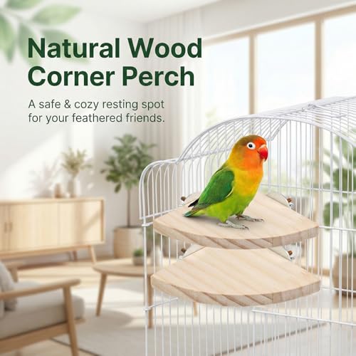 2 Pcs Flat Perches for Bird Cages Flat Bird Perch Platform Birds Perch Birds Cages Accessories Fan Shape for Parakeet Conure Cockatiel Budgie Rat Chinchilla Gerbil Hamster (2 Size)