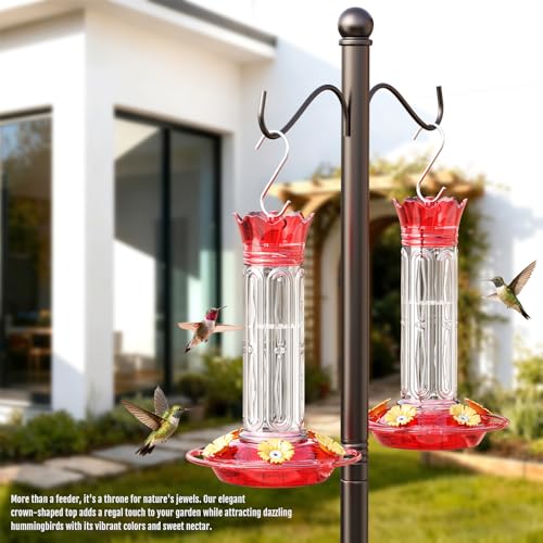 Birdream Hummingbird Feeders for Outdoors, 2 Pack-20oz Plastic Hummingbird Feeder with 5 Bee Guard Feeding Ports & Cleaning Brush, Leak Proof, Built-in Ant Moat, Red - color: Red, size: 2 Pack