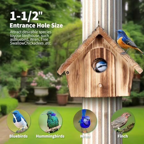 Bird Houses for Outside,Hanging Outdoor BirdHouses,Wood Bird Nesting Box House for Bluebird Humming Finch Wren Cardinals Garden