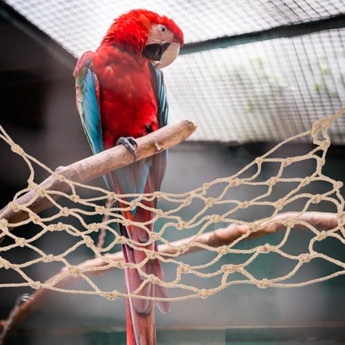 ORFOFE Bird Climbing Net Parrot Hanging Net Rope Hammock Pet Climbing Toy for Hamsters Parakeets Cockatiels Small Animals 21.65 X 17.32 in 4 Hooks