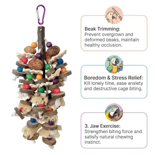 Parrot Chew Toys for Large Bird, Bird Toys with Natural Nuts Corn Loofah Wooden,Bird Chewing Toy for African Grey,Macaws,Conure,Cokatoos,Cockatiel,Amazon Parrots and Other Medium and Small Birds - style: Style B