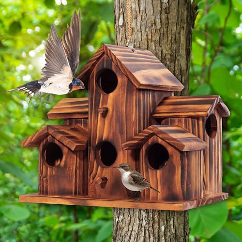 MIXUMON Wooden Bird Houses for Outside – 6 Rooms Multi-Chamber Bird House, Carbonized Pine Rustic Finish, 1.57" Entrance Holes, Cleaning Doors for Each Room, Decorative Outdoor Bird Nesting Box