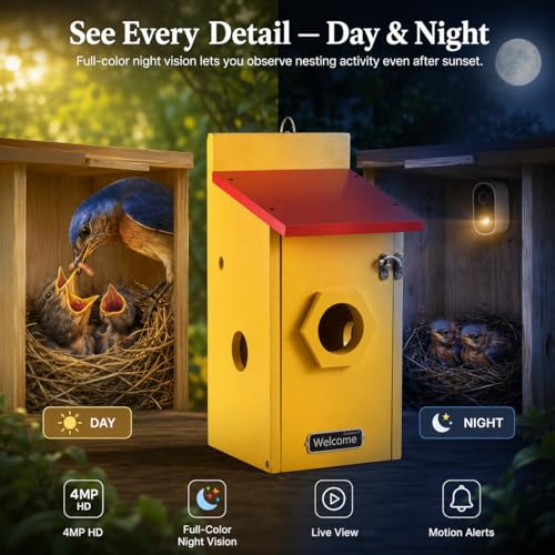 Smart Birdhouse with Camera for Backyard Bird Watching, Wooden Outdoor Nesting Box with App Live View, Motion Detection, Color Night Vision & Two-Way Audio - color: Rustic Cedar, size: Wired Edition