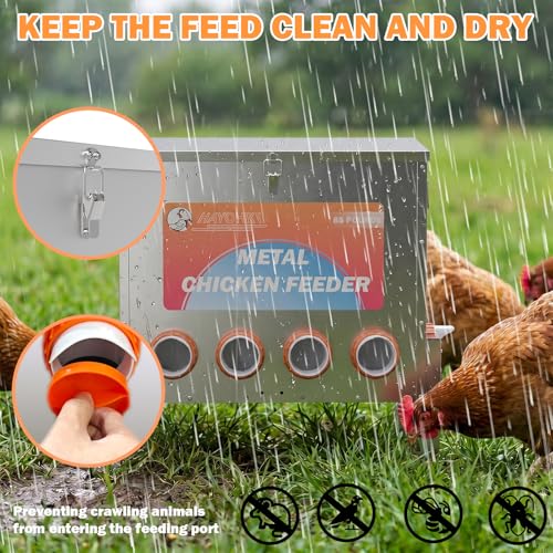 85 Pounds Automatic Chicken Feeder 6 Ports Large Gravity Fed Chicken Feeder with Adjustable Legs Perspective Window Latch & Handle for Chickens Bantams Pheasants - size: 6 Ports - 85-120 LBS