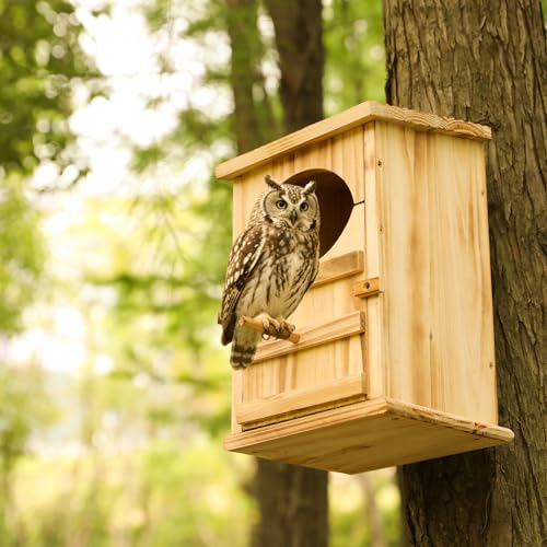 Screech Owl Nesting Box for Outdoors with Easy-Clean Door | Owls House, 13×7.3×8.6 In, Cedar Wood, Quick Assembly, Weather-Resistant Design, Includes Natural Shavings