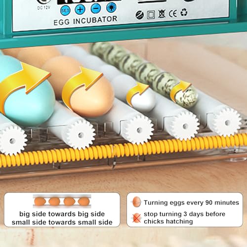 Egg Incubator for Hatching 16 Eggs|24 Quail Eggs, All-in-One Auto Incubator | Automatic Egg Turning, Precise Temperature Control, Stable Humidity Control, Adjustable Rollers for Duck, Goose, Pigeon Eggs