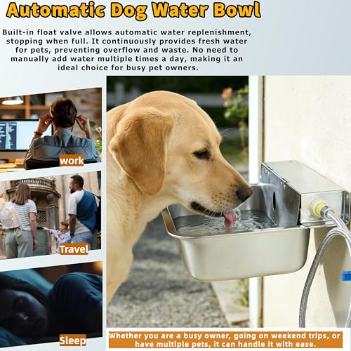 Stainless Steel Automatic Pet Waterer with Flip-Top & Wall Mount | Outdoor Auto-Fill Water Bowl with Adjustable Float,Wide Drinking Area,Easy To Clean,for Dogs,Chickens & Other Poultry - size: Large-Flip cover