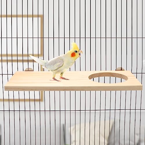 Wontee Bird Perch Stand Wooden Platform for Cockatiels Conures Rats Gerbils Chinchillas Squirrels (M1- with Hole) - size: M1- With Hole