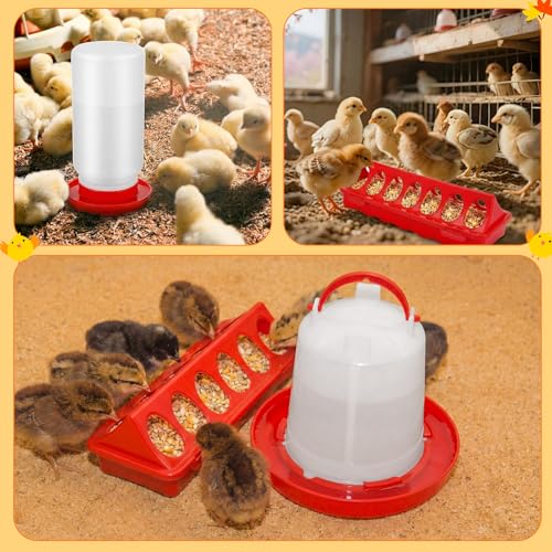 12 Pcs Chick Waterer and Feeder Kit 12-Hole Flip-top Chicken Feeders 1 L Chicken Water Dispenser 1.5 L Hanging Waterer & Feed Scoop Chick Starter Kit for Poultry Brooder